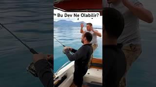 Oltaları Kırıp Giden Bu Balık Ne? #shorts #fishing #balıkavı