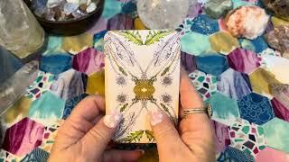 Deck Walk through of the Hedgewitch Botanical Oracle Cards by Siolo Thompson