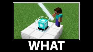 WAIT WHAT - Minecraft #25