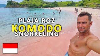 PLAJA ROZ & alte locuri de SNORKELING in PARCUL NATIONAL KOMODO