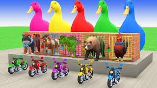 5 Giant Duck, Monkey, Piglet, chicken, dog, dinosaur, Sheep, Transfiguration funny animal 2024