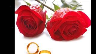 Yahya|Bassal|New Wedding Song|