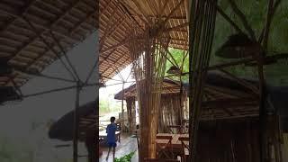 Beautiful Bamboo two story restaurant design