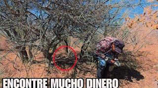 DEBAJO del ÁRBOL DESCUBRIMOS DINERO Quede IMPRESIONADO de ver todas las que ENCONTRE...