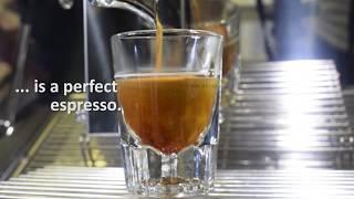 How to Make the Perfect Espresso