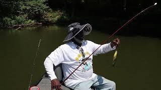 Fishing Tour | Bear Creek Marianna, Arkansas