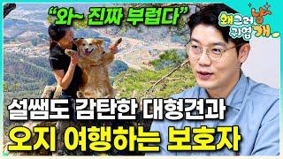 "세상에서 제일 행복한 개일 거예요" 주인과 함께 백패킹 떠나는 대형견 2마리｜20kg 배낭과 야외 취침도 걱정 없다는 천사 보호자｜#왜그러냥귀엽개