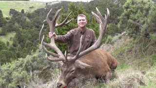 Trophy Hunting in New Zealand with Mountain Hunters