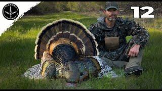 the MOST IMPRESSIVE RIO GOBBLER | AGGRESSIVE STRATEGY KILLS | HUNTING PUBLIC LAND- Pinhoti 2024