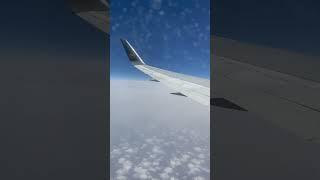 ️Cruising over Atlantic Ocean Condor Boeing 767-300️