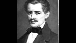 Johann Strauss I - Seufzer Galopp Op.9