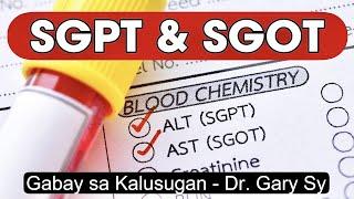 Understanding SGPT & SGOT - Dr  Gary Sy