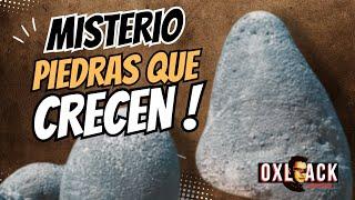 DESCUBREN QUE LAS PIEDRAS CRECEN ! / Oxlack Investigador