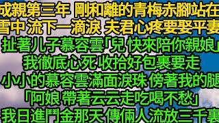 成親第三年 他剛和離的青梅赤腳站在雪中，流下一滴淚 夫君心疼不已要娶平妻，扯著儿子慕容雲「兒 快來陪你親娘」，我徹底心死 收拾好包裹要走，小小的慕容雲滿面淚珠，傍著我的腿「阿娘 帶著云云走吃喝不愁」