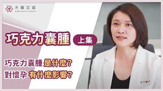 【巧克力囊腫常見問題 /上集】巧克力囊腫是什麼？對懷孕有什麼影響？｜楊小萱醫師