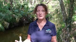 BASIN STUDY: Wekiva Basin Study