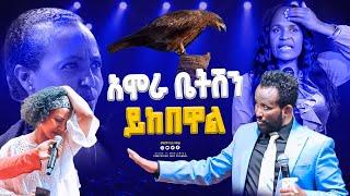 አሞራ ቤትሽን ይከበዋል