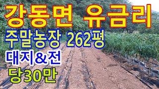 경주시 강동면 유금리에 있는 주말농장 매매