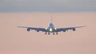 Airbus А380 в Домодедово