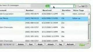 Ribbit For Salesforce Demo