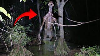 Shocking Creatures Caught Emerging From Water!