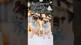 Beginners guide to PhotoRoom (for pet photos) #petgrooming #petphotos #dogphotography #petphotos