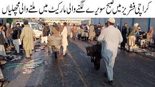 Wholesale Fish Market Karachi Fisheries Biggest Fish Market | Current Fish Price | Seafood King FIsh