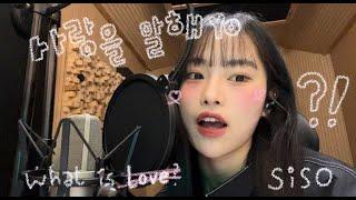 사랑이 아닌 단어로 사랑을 말해요 - siso LIVE