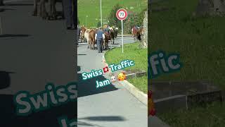 SwissTraffic Jam️