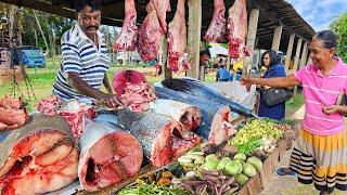 Wow!! Village Traditional Street Fish Markets Of Sri Lankan Island Village Life