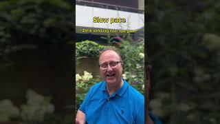 Dutch pace and pitch made easier by Profe Jan #learndutch #elearning #taal #Fit4taal