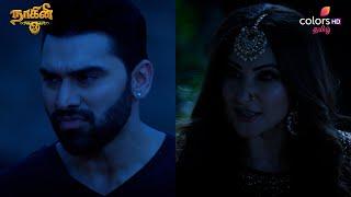 Naagini S3 | நாகினி S3 | Ep 178 | 07 March 2025