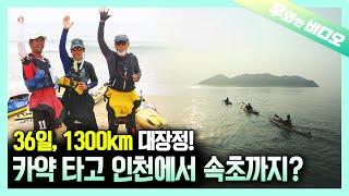 서해에서 남해를 거쳐 동해까지 카약 타고 간다고?┃Kayaking From the West Sea to the East Sea via the South Sea?