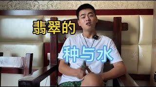 什么是翡翠的种 水？#翡翠 #翡翠手镯 #缅甸翡翠