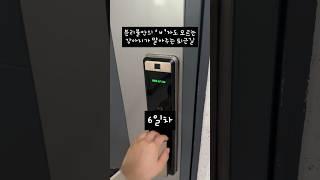 분리불안 없는게 아니라 그냥 나를 못 알아보는걸까ㅎ #강아지 #반려견 #분리불안 #반려동물 #pets #cutedog #웰시코기 #cute