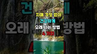 치매 걱정 없이 건강하게 오래 사는 방법 4가지  #지혜 #명언  #좋은글 #건강 #shorts