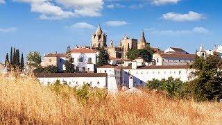 Small-Group Évora Day Trip from Lisbon with Olive Oil Tastings