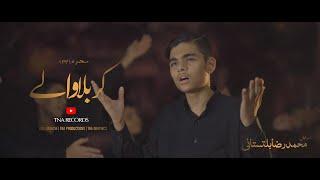 Karbala Waly || Muhammad Raza Baltistani || New Noha 1441 - 2019