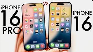 iPhone 16 Vs iPhone 16 Pro! (Comparison) (Review)