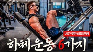 하체운동 이 6가지 안하면 절대 두꺼워질 수 없습니다!