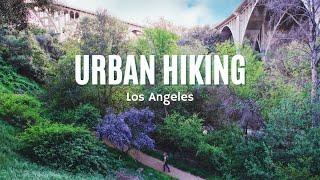 Urban Hiking in Los Angeles: The Arroyo Seco