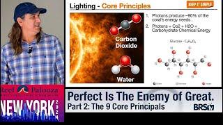 Want an Easy, Epic Tank? The 9 Core Reefing Principles | PT 2 Perfect Is the Enemy of Great