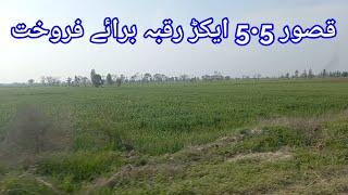 Kasur 5.5 Acre Agri Land for Sale | قصور ساڑھے پانچ ایکڑ زرعی رقبہ برائے فروخت | Factory Land Sale