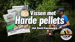 Vissen met harde pellets met Kevin Vaernewijck