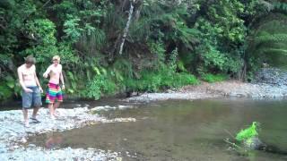 TastyTrek in Mangamuka Gorge