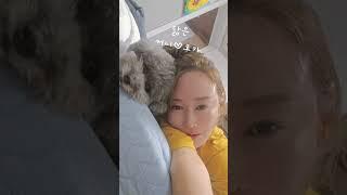 #부산 #닮은꼴 #행복하기