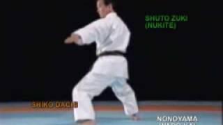 PINAN NIDAN