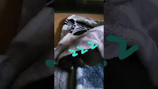 #법륜스님과함께 하는 행복학교