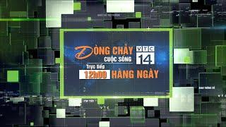  [Trực tiếp] #Dòngchảycuộcsống 15/10/2024