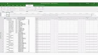 How to allocate budget to a Project in Microsoft Project?